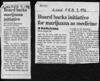 Board backs marijuana initiative