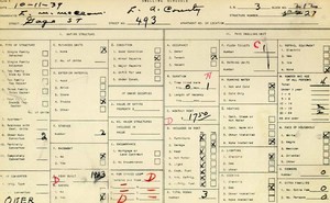 WPA household census for 493 S GAGE