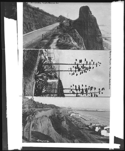 Three post card views of the Palisades Park environs, Santa Monica, circa 1918-1925