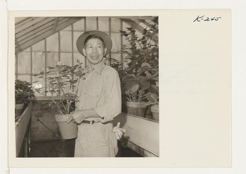 Shown in the green house is Mr. Jubei Miyaji from Topaz. Mr. and Mrs. Jubei Miyaji and son, Hirohumi, age