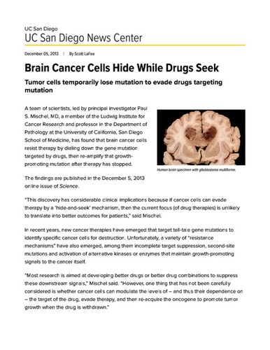 Brain Cancer Cells Hide While Drugs Seek