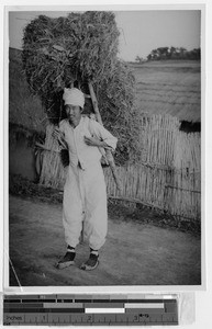 Man carrying fuel supply, Saiho, Korea, ca. 1940