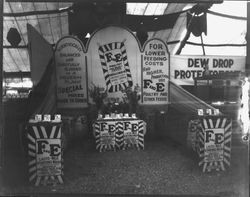 Gravenstein Apple Show display, 1930s of Frizelle, Eales & Co. poultry and feed store in Cotati--Hessel and Sebastopol