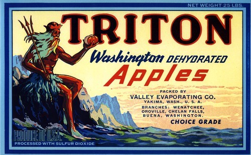 Triton Washington Dehydrated Apples