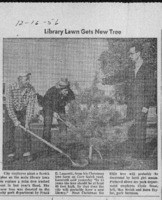 Library Lawn Gets New Tree