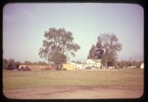 "South Side of Willow Street across Park 1950"