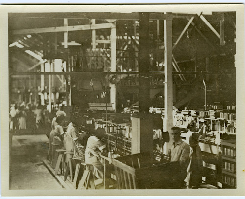 An interior view of the G. W. Hume Company cannery in Turlock, California, circa 1930