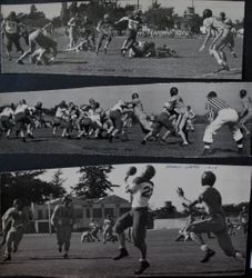 Analy High School Tigers football 1948--Analy vs Napa at Analy day game