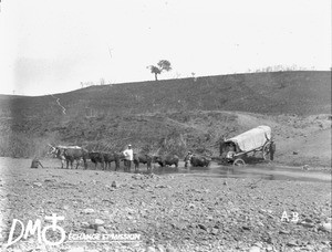 Ox-drawn wagon crossing a river, Valdezia, South Africa, ca. 1896-1911
