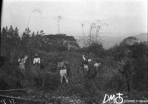 Students from Lemana Training Institution clearing a plot of land, Lemana, South Africa, ca. 1906-1915