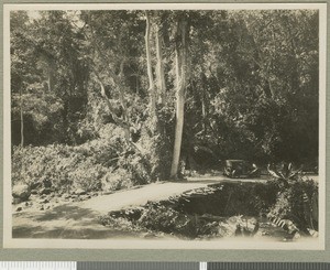 Wooden bridge over river, Eastern province, Kenya, ca.1924