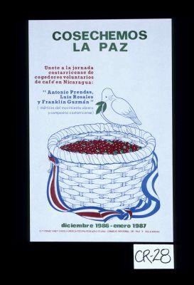 Cosechemos la paz. Unete a la jornada costarricense de cogedores voluntarios de cafe en Niacaragua: "Antonio Prendas, Luis Rosales y Franklin Guzman" (martires del movimiento obrero y campesino costarricense)