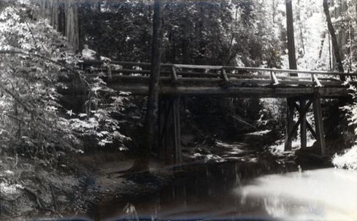 Bridge spanning a pond