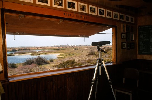 Blind/Hide: view from inside of Blind/Hide looking out to the Tijuana River Estuary Preserve