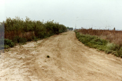 Dirt road at the Sepulveda Wildlife Reserve, 1981