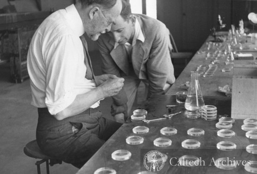 Thomas Hunt Morgan and Albert Tyler in lab