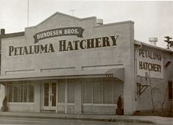 Bundesen Brothers Petaluma Hatchery building