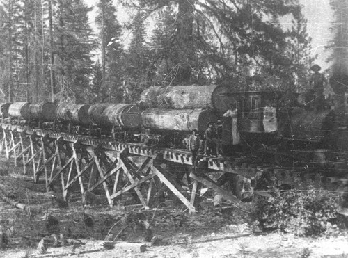 Logging train