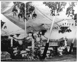 Gravenstein Apple Show--Sebastopol, displays under tent, 1913