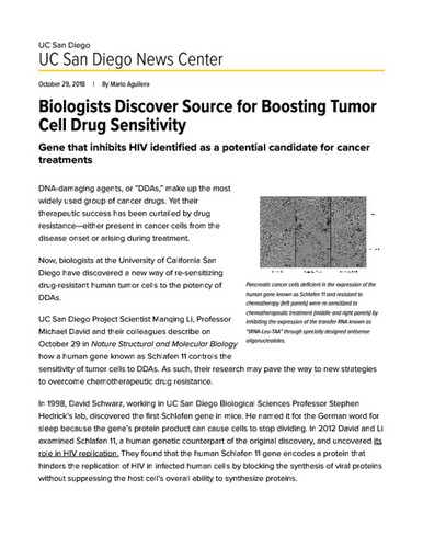 Biologists Discover Source for Boosting Tumor Cell Drug Sensitivity