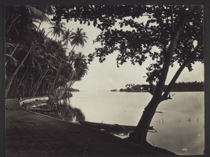 Batticaloa Lake