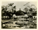 [California Pacific International Exposition, Botanical Gardens]