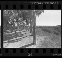 Hiking trail at Will Rogers State Historic Park in Pacific Palisades, Calif., 1987