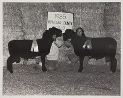 Two unidentified people pose with their prize winning black rams at the 1985 Sonoma County Fair, Santa Rosa, California