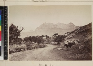 View of road leading to village, Mauritius, 1869
