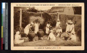 Orphan girls preparing rice, Ambohidratrimo, Madagascar, ca.1900-1930