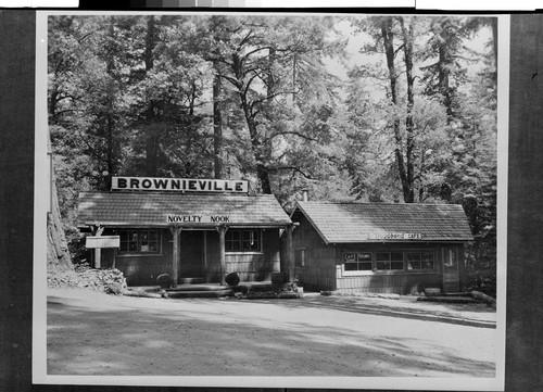 Brownieville along the Redwood Highway, Calif