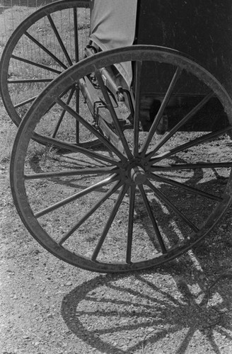 Amish buggy, Lancaster County, 1974