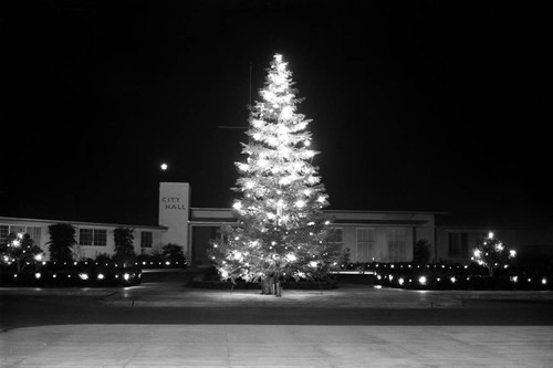 Christmas lighting, Newport Beach City Hall, December 20, 1950