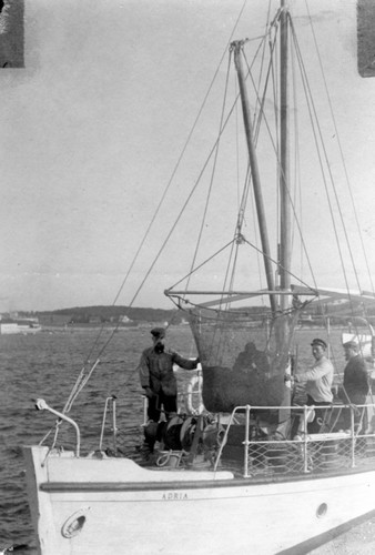 Seamen with a trawl aboard the research vessel Adria from the Zoological Station in Trieste, Italy