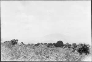 Landscape, Mwika, Tanzania, ca. 1909-1914