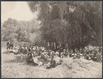 Merry Picnickers, on Coe Brothers Home Ranch, under a moss-covered Oak, 810