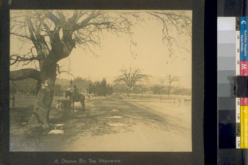 A drink by the wayside. [Unidentified location.]