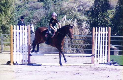 Female rider features in Jumper Show, 1996