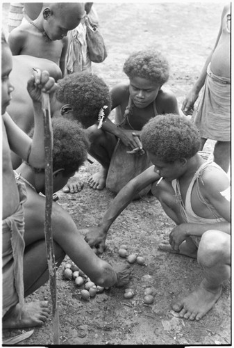 Boys dividing betel (areca) nuts at Foutoru
