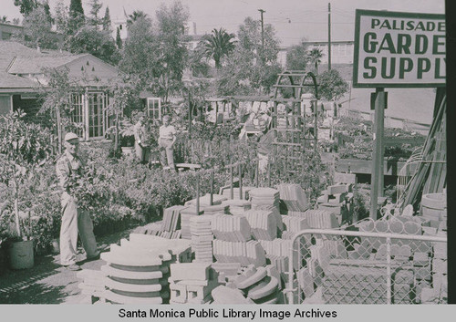 People surrounded by plants and garden supplies at the Palisades Nursery, Pacific Palisades, Calif