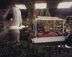 Persian Gardens show at the Hall Flowers at the Sonoma County Fair, Santa Rosa, California, 1978