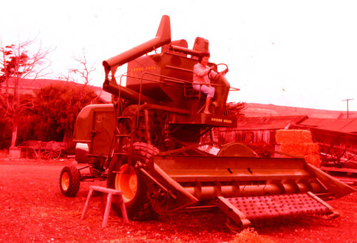 Woman on a Combine