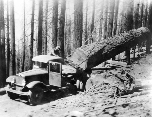 Loading a logging truck