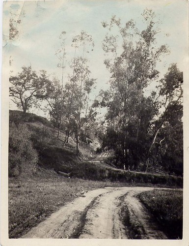 A Bank and Road Near Columbia in the Arroyo