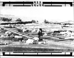 Portion of the poultry district Petaluma, California, 1917
