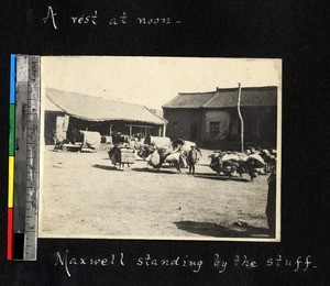 Caravan at a rest stop, Shaanxi, China, ca. 1900