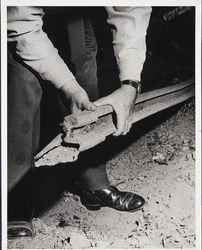 Railroad track in the hands of a ranger, Guerneville?, California, October 29, 1965
