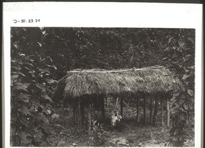 Fetish hut in Manum meant to protect against small pox