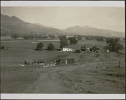 View of the Heny Ranch, El Verano, California, between 1900 and 1920