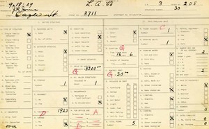 WPA household census for 3711 EAGLE